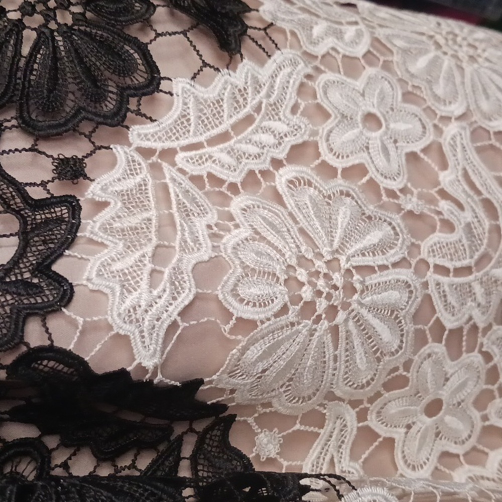 Adrianna Papell Black and Cream Lace Midi Dress - Picture 6 of 6
